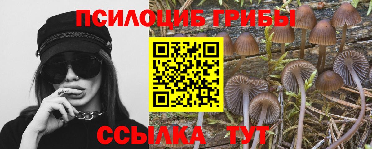 Омск  Псилоцибиновые грибы ЛСД  Псилоцибиновые грибы Magic Shrooms  Вход с VPN 