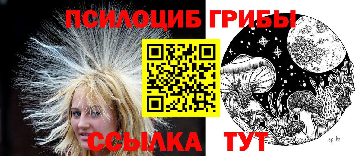 Галлюциногенные грибы Psilocybe Омск